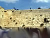 Worldwide Blessing of the Sun Ceremonies